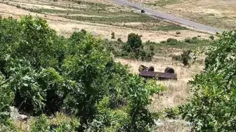 Muş'un Bulanık İlçesinde Traktör Römorku Uçuruma Devrildi: 1 Ölü, 23 Yaralı