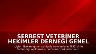 Serbest Veteriner Hekimler Derneği Genel Başkanı Bilsay Kanat: "Bize kaç hayvan toplandığını değil, kaçının yaşatıldığını söyleyin"