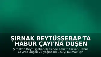 Şırnak Beytüşşebap'ta Habur Çayı'na Düşen Şahıs İçin Arama Çalışmaları Sürüyor