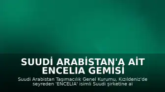 Suudi Arabistan'a Ait ENCELIA Gemisi Kızıldeniz'de Vuruldu