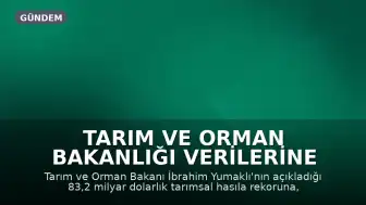 Tarım ve Orman Bakanlığı Verilerine Eleştiri: 'Gerçek Başarı, Halkın Gıdaya Ne Kadar Ucuza Erişebildiğidir'