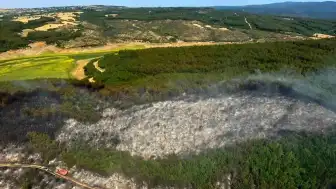 Tekirdağ Malkara'da Orman Yangını: Ekiplerin Müdahalesiyle Kontrol Altına Alındı