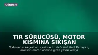 Tır Sürücüsü, Motor Kısmına Sıkışan Yavru Kediyi Annesine Kavuşturdu