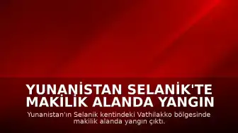 Yunanistan Selanik'te Makilik Alanda Yangın Çıktı