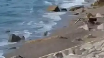 Zonguldak Filyos Sahili'nde Askeri İHA Bulundu: Geniş Güvenlik Önlemi Alındı