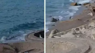 Zonguldak Filyos Sahili'nde Askeri Olduğu Düşünülen İHA Bulundu