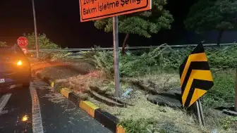 Zonguldak'ta Trafik Kazası: 5 Yaralı