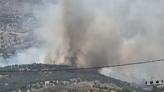 Adıyaman Gerger'de Orman Yangını: Ekipler Müdahale Ediyor