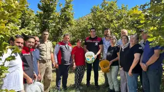 Kemah'ta Nadir Fındık Hasadı Gerçekleştirildi