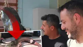 Sivas'ta Nehirde 190 Santimetrelik Yayın Balığı Yakalandı