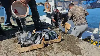 Zonguldaklı balıkçılar sezona 50 ton palamutla başladı