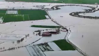 Aydın'da Taşkın Sonrası Tarım Arazilerinde İnceleme Yapıldı