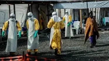 Afrika'da Ebola Salgını Yeniden Başladı: Kongo'da 65 Can Kaybı, Salgın Uganda'ya Sıçradı