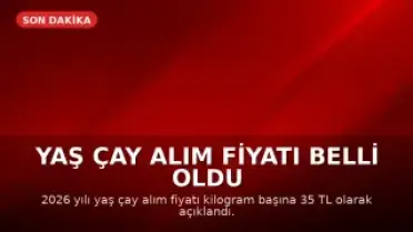Yaş Çay Alım Fiyatı Belli Oldu