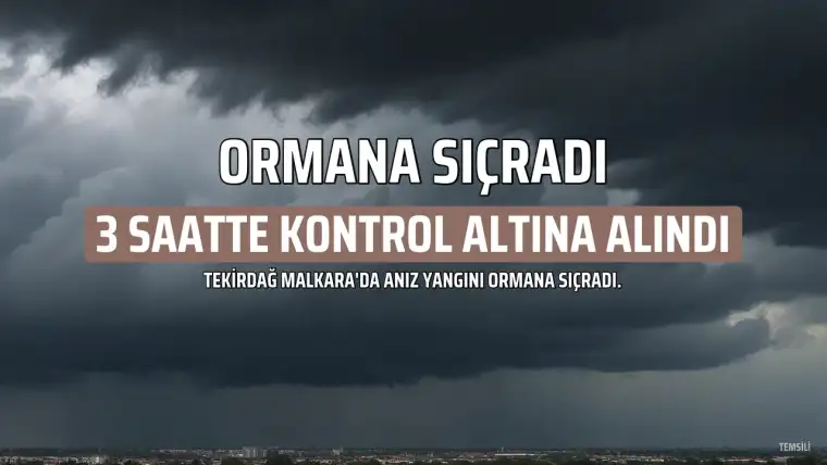 Tekirdağ Malkara'da Anız Yangını Ormana Sıçradı: 3 Saatte Kontrol Altına Alındı