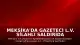 Meksika'da Gazeteci L.V. Silahlı Saldırıda Hayatını Kaybetti