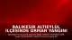 Balıkesir Altıeylül İlçesinde Orman Yangını Çıktı