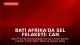 Batı Afrika'da Sel Felaketi: Can Kayıpları Artıyor