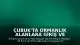 Çubuk'ta Ormanlık Alanlara Giriş ve Kamp Faaliyetleri Yasaklandı