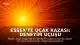 Essex'te Uçak Kazası: Deneyim Uçuşu Sırasında İki Kişi Hayatını Kaybetti