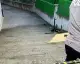 Samsun'da İnsansız Hava Aracı Düştü: Binalarda Hasar Oluştu