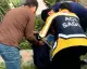 Şemdinli'de minibüs kazası: 3 yaralı