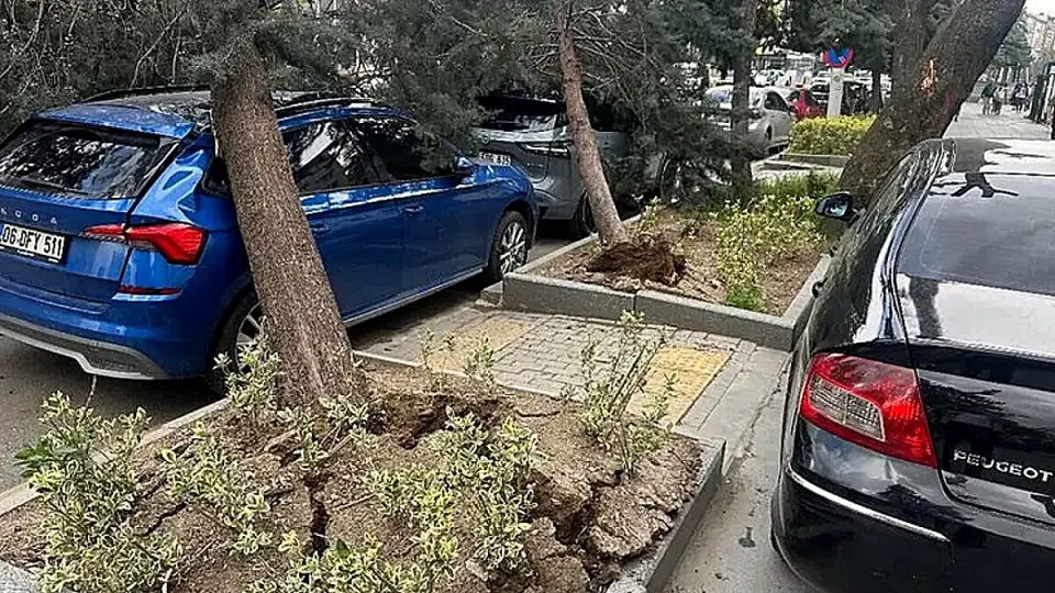 Ankara'da Şiddetli Rüzgar: Ağaçlar Devrildi, Trafik Aksadı
