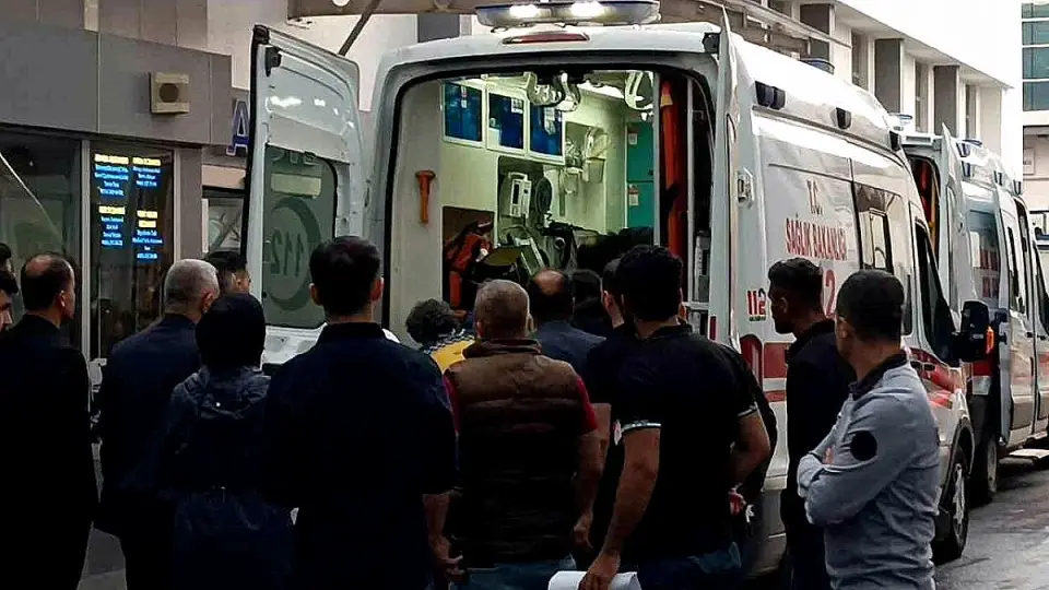 Batman'da Yıldırım Çarpması Sonucu Çoban Hayatını Kaybetti