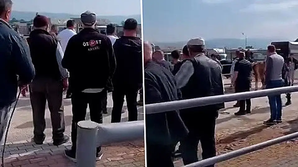 Bursa'da Kurban Pazarında Kavga: Jandarma Havaya Ateş Açtı