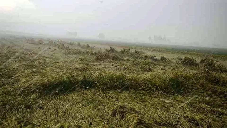 Osmaniye'de Sağanak Nedeniyle Evinde Mahsur Kalan Yaşlı Kadın Kurtarıldı