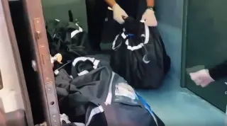 Şırnak'ta 590 Milyon Liralık Kaçak Altın ve Döviz Operasyonu