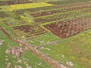 Taş Tepeler Projesi'nde Uluslararası Kazılar Başlıyor