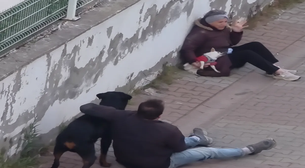 Ümraniye'de Sahipsiz Rottweiler Küçük Köpeğe Saldırdı