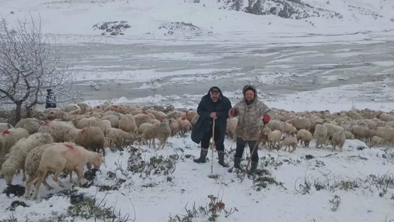 Tipi ve Heyelan Nedeniyle 2 Çoban ve 650 Küçükbaş Hayvan Yaylada Mahsur Kaldı