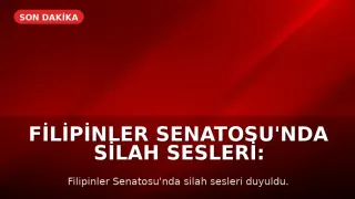 Filipinler Senatosu'nda Silah Sesleri: Uluslararası Af Örgütü Tarafından Arayışta Olan Eski Polis Şefi Sığındı