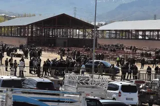 Van İpekyolu'nda Hayvan Pazarında Silahlı Kavga: 1 Ölü, 13 Yaralı